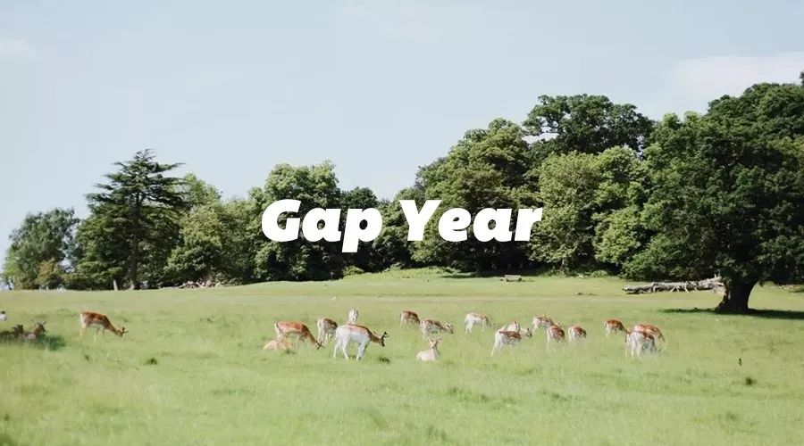 gapyear活出自己的精彩,gapyear要做的事