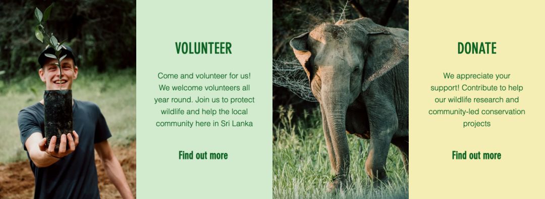 gapyear活出自己的精彩,gapyear要做的事