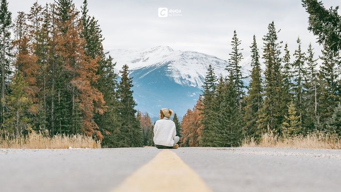 漫长的八个月,冬天的加拿大真的好美