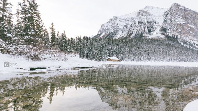 漫长的八个月,冬天的加拿大真的好美