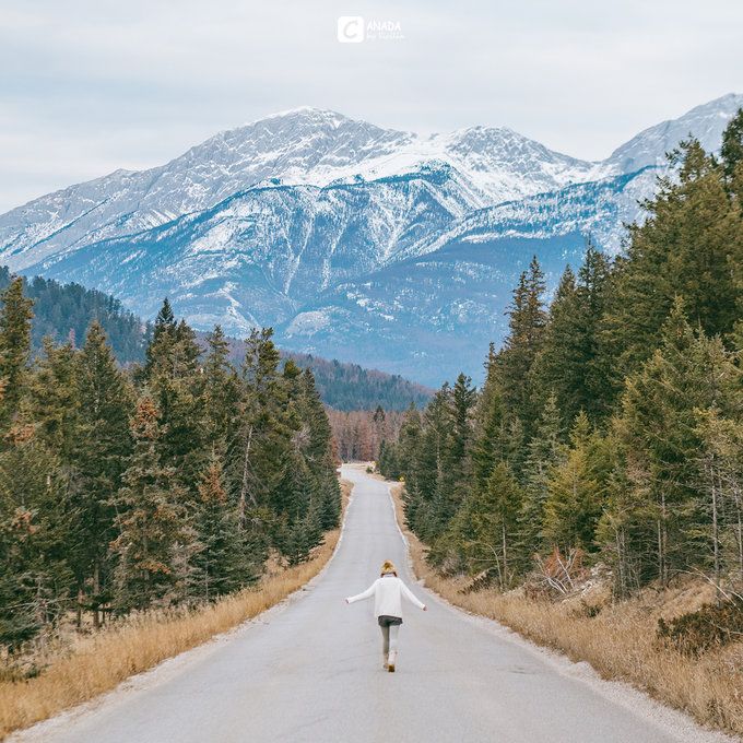 漫长的八个月,冬天的加拿大真的好美