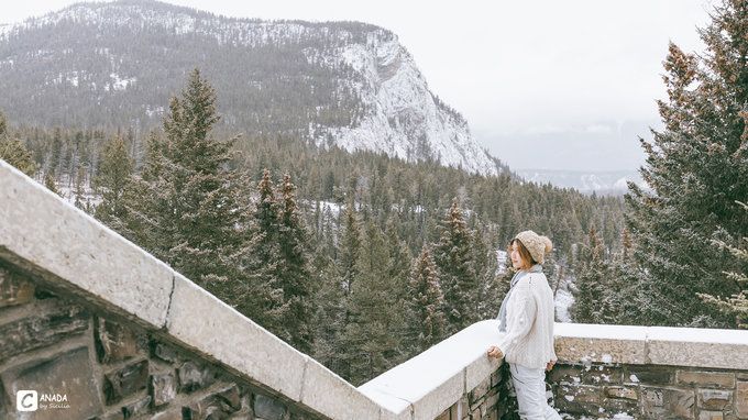 漫长的八个月,冬天的加拿大真的好美