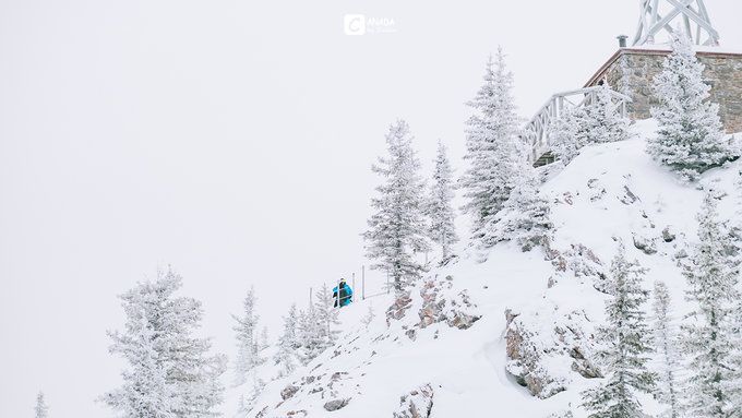 漫长的八个月,冬天的加拿大真的好美