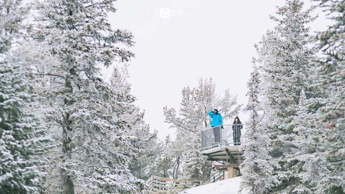 漫长的八个月,冬天的加拿大真的好美