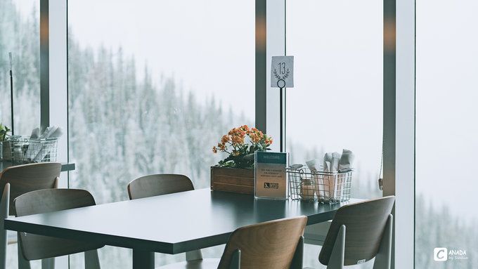 漫长的八个月,冬天的加拿大真的好美