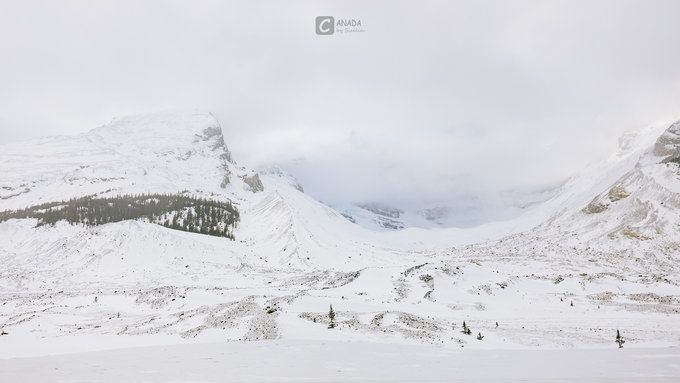 漫长的八个月,冬天的加拿大真的好美