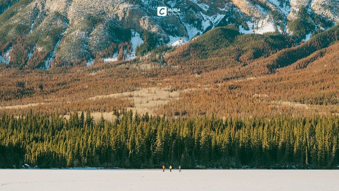 漫长的八个月,冬天的加拿大真的好美