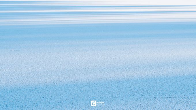 漫长的八个月,冬天的加拿大真的好美