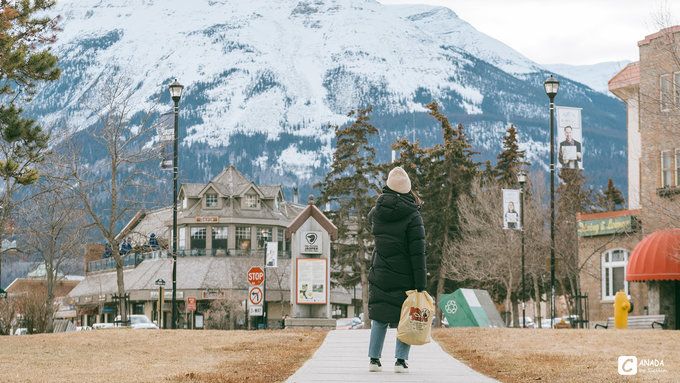 漫长的八个月,冬天的加拿大真的好美