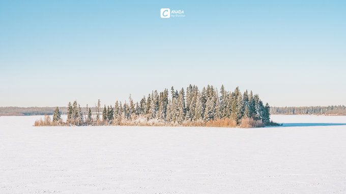 漫长的八个月,冬天的加拿大真的好美