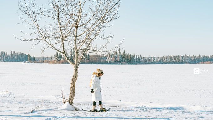 漫长的八个月,冬天的加拿大真的好美