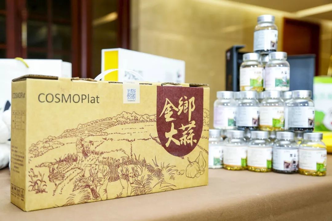 制造业巨头海尔种金乡大蒜，真能改变“蒜你完”？