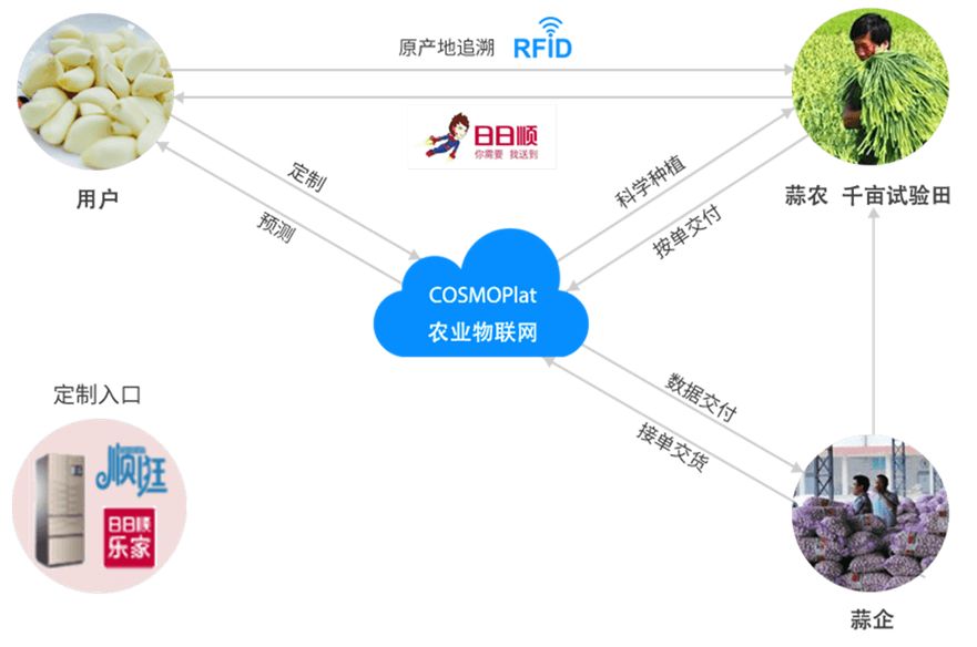 制造业巨头海尔种金乡大蒜，真能改变“蒜你完”？