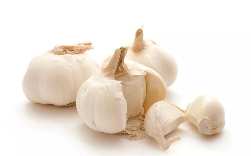 制造业巨头海尔种金乡大蒜，真能改变“蒜你完”？