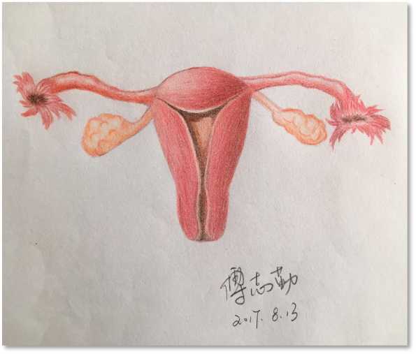 浙江省肿瘤医院优势,浙江肿瘤医院新进展
