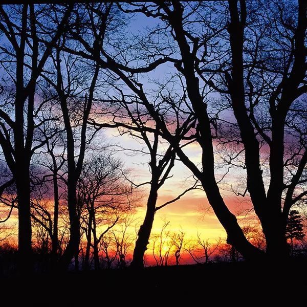 辉南篮球赛,最拉风的啦啦队