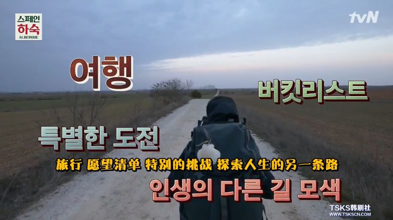 罗英石综艺节目表,罗英石新综艺