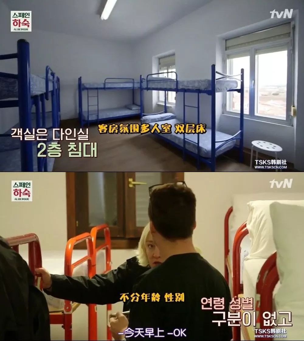 罗英石综艺节目表,罗英石新综艺