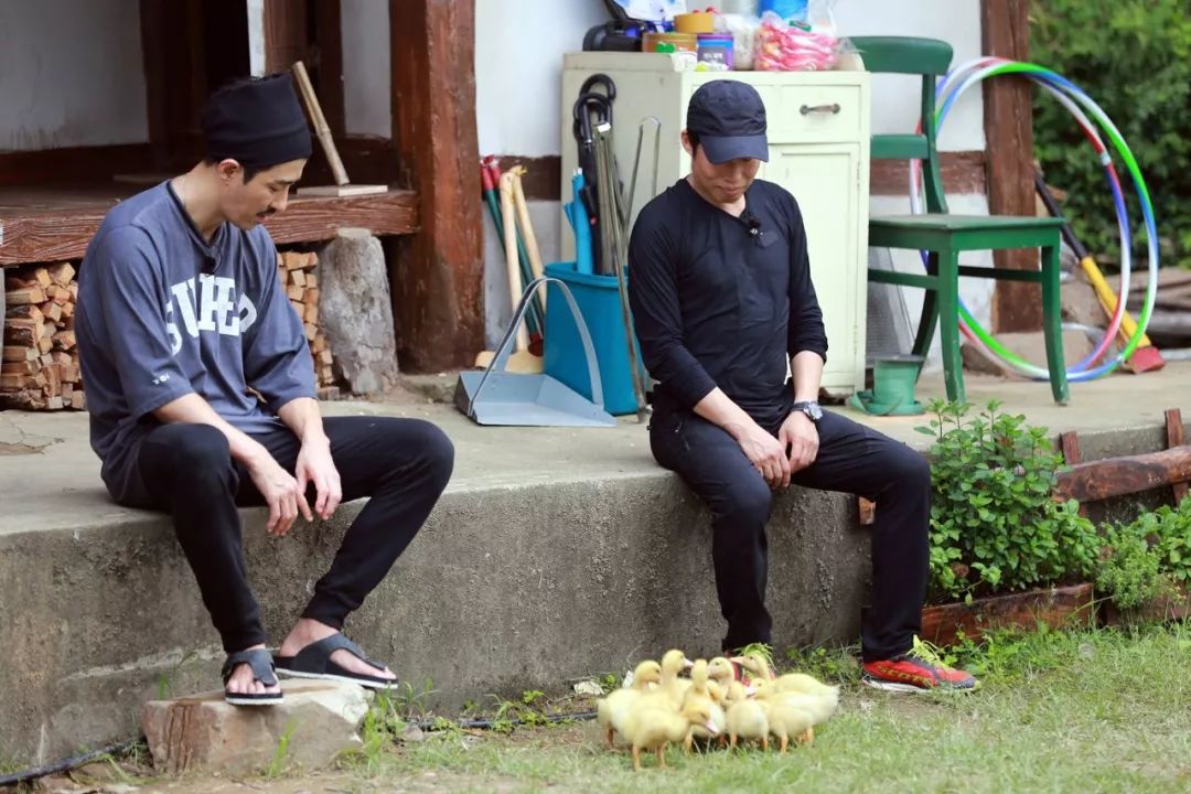 罗英石综艺节目表,罗英石新综艺