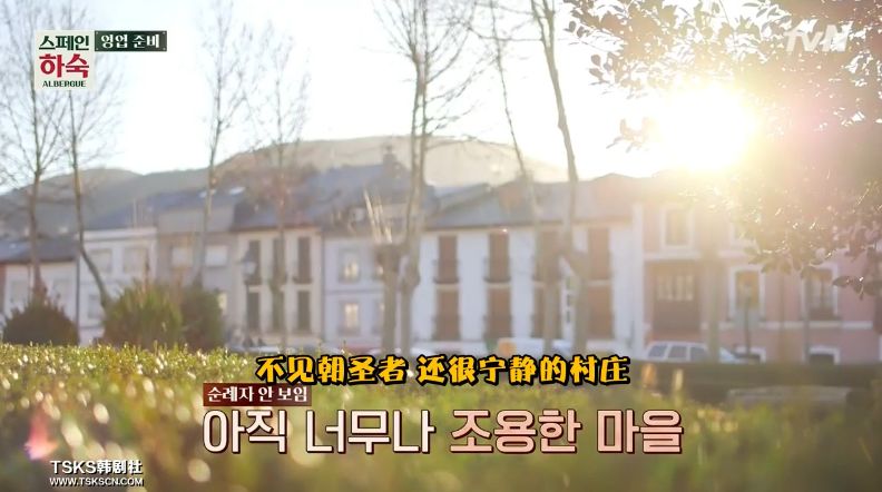 罗英石综艺节目表,罗英石新综艺