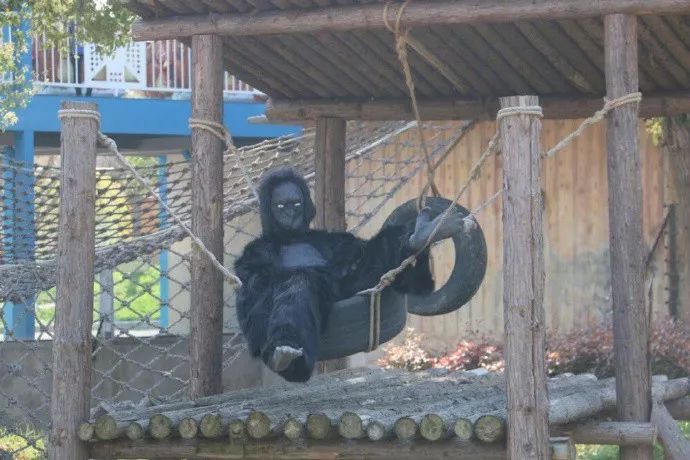 寒山寺和尚招聘靠谱吗,寒山寺和尚招聘公告