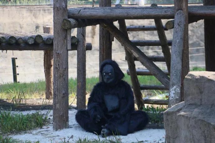 寒山寺和尚招聘靠谱吗,寒山寺和尚招聘公告