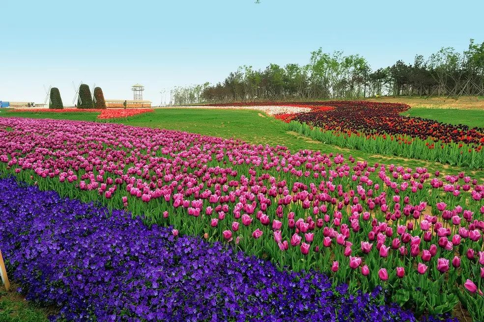 延吉龙井琵岩山温泉门票99元,延吉到琵岩山温泉直通车