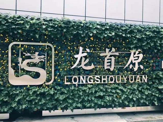 龙首村跟前住宿,龙首住宿哪里比较好