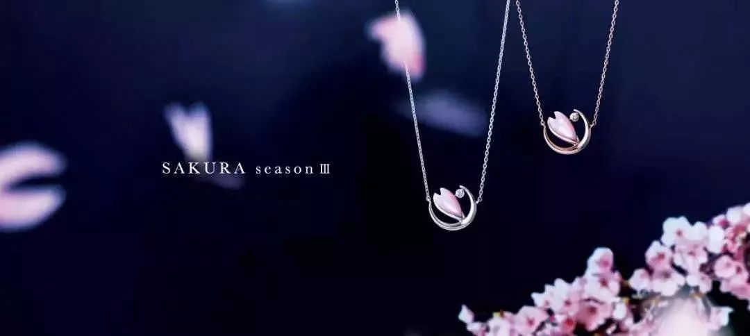 最美樱花季即将到来,最美樱花有哪些