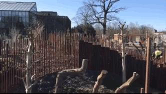 耗资1.5亿的阴阳太极状宫殿,毛二星二的丹麦新家也是太美好