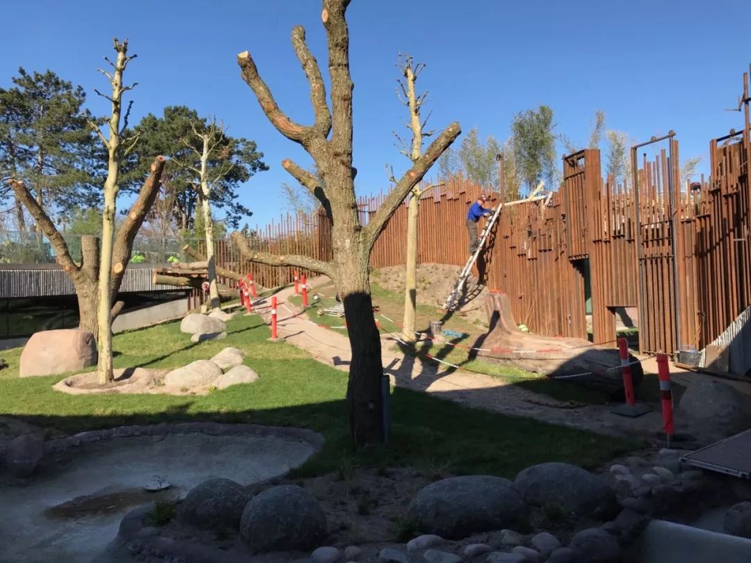 耗资1.5亿的阴阳太极状宫殿,毛二星二的丹麦新家也是太美好