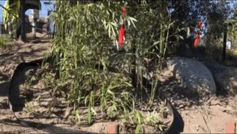 耗资1.5亿的阴阳太极状宫殿,毛二星二的丹麦新家也是太美好