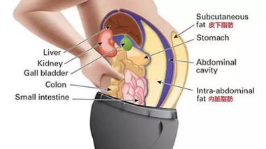 吃日本小丸子减肥吗,日本减肥小丸子