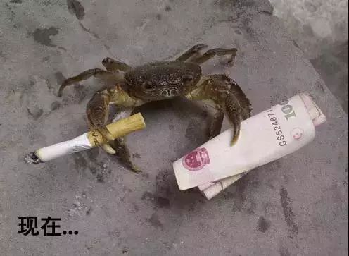 剁手|10块钱在上海能干些什么?这些可能大家都想不到!