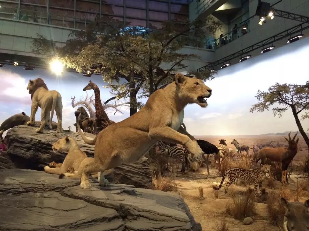 剁手|10块钱在上海能干些什么?这些可能大家都想不到!