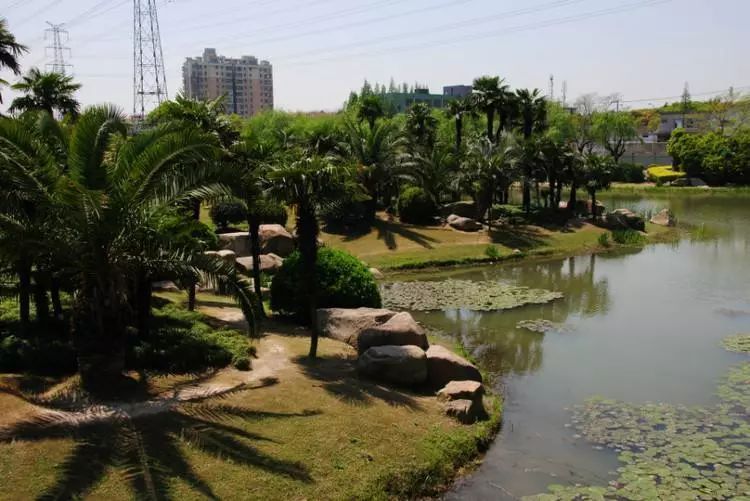 剁手|10块钱在上海能干些什么?这些可能大家都想不到!