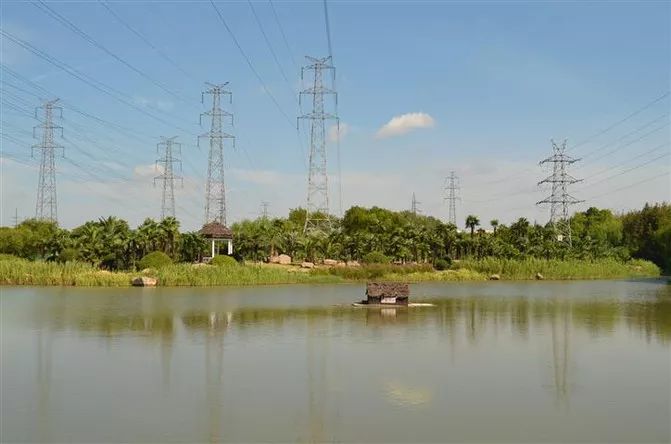 剁手|10块钱在上海能干些什么?这些可能大家都想不到!