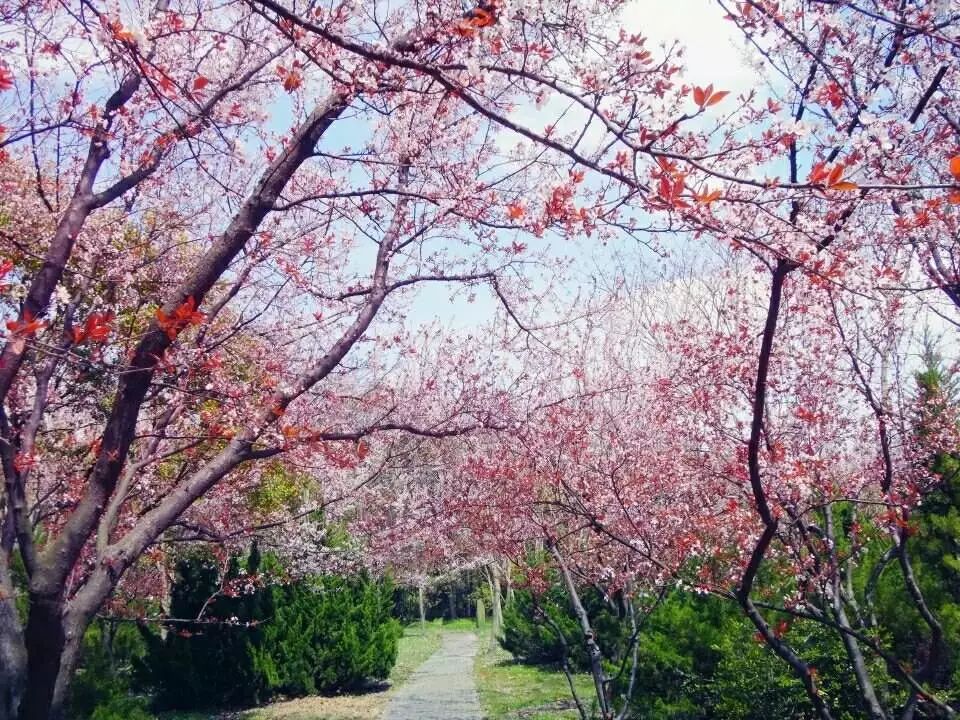 剁手|10块钱在上海能干些什么?这些可能大家都想不到!