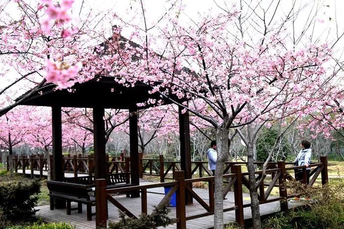 剁手|10块钱在上海能干些什么?这些可能大家都想不到!