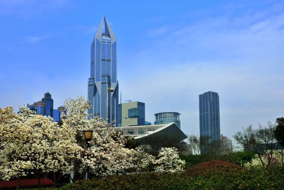 剁手|10块钱在上海能干些什么?这些可能大家都想不到!