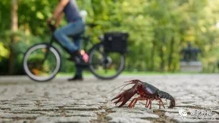 寒山寺和尚招聘靠谱吗,寒山寺和尚招聘公告