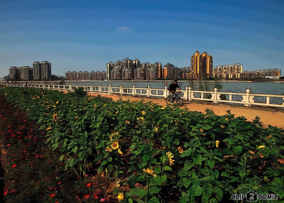 斗门最美乡村,斗门田园生活