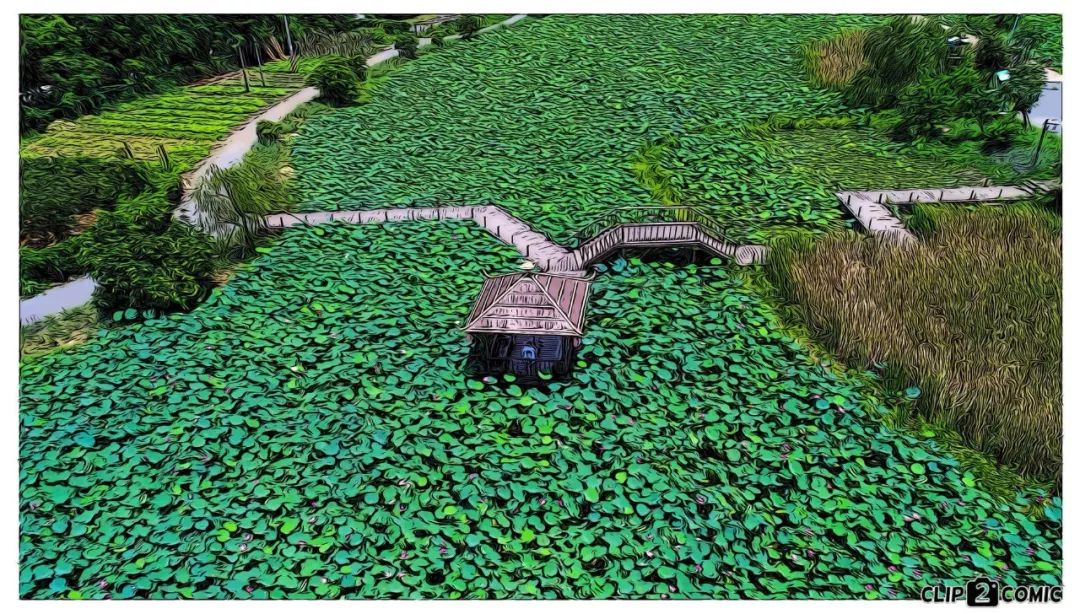 斗门最美乡村,斗门田园生活