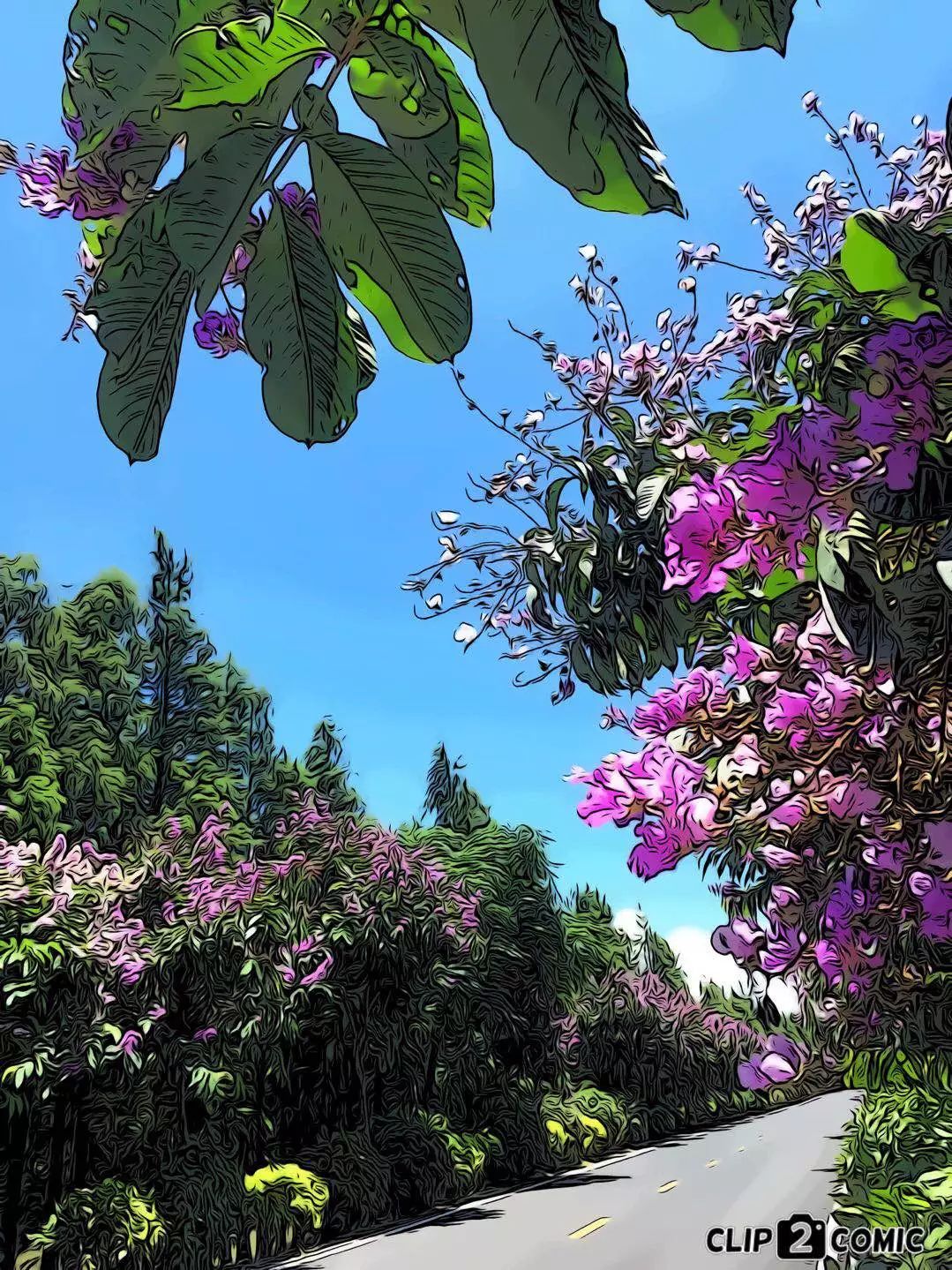 斗门最美乡村,斗门田园生活