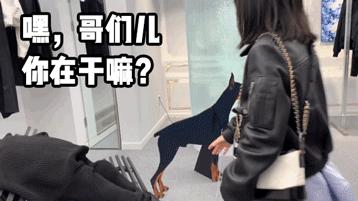 稳赚不赔!韩国首尔最值得打卡的TOP11完美攻略