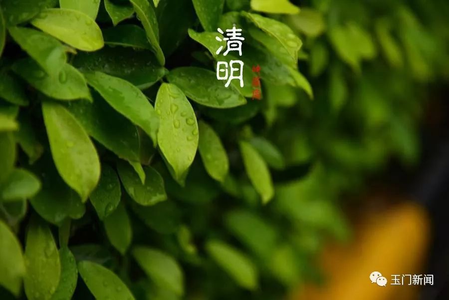 【传承】又是一年清明时丨弘扬玉门精神，争做新时代“接班人”