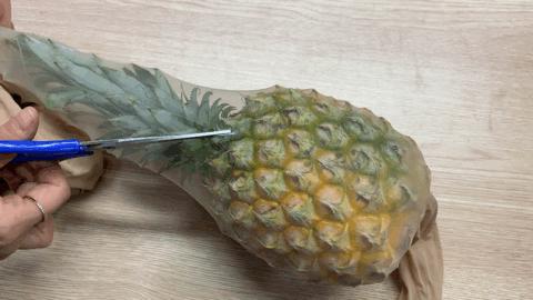 春夏薄款防勾丝珠光袜,不易勾丝又显瘦的薄袜