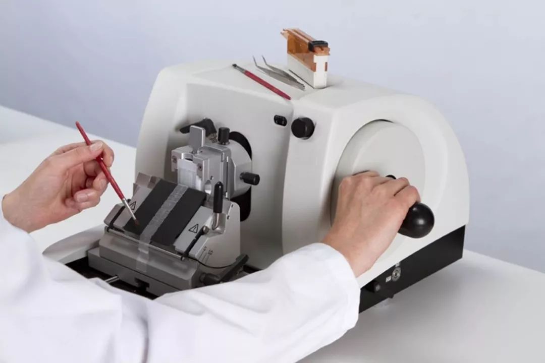 直到看了病理医生切的片子,我才明白了什么叫「艺术细胞」