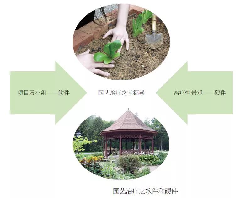 用生命影响生命讲解,用生命影响生命属于什么诗歌