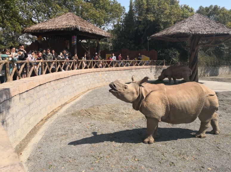 清明小长假上海旅游,上海清明小长假适合去哪旅游